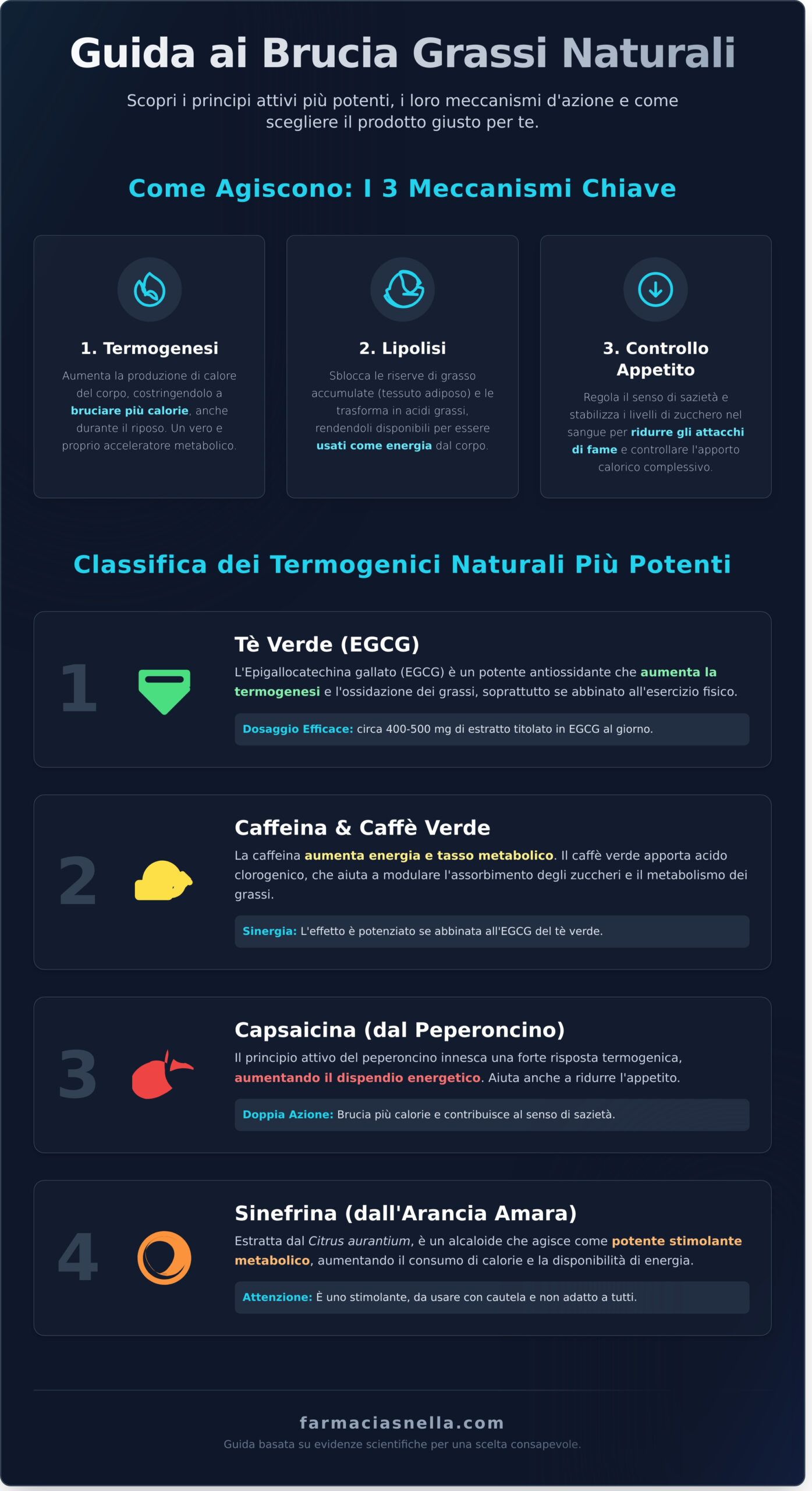 Brucia Grassi Naturali Potenti: La Guida a Quelli che Funzionano Davvero - Infographic