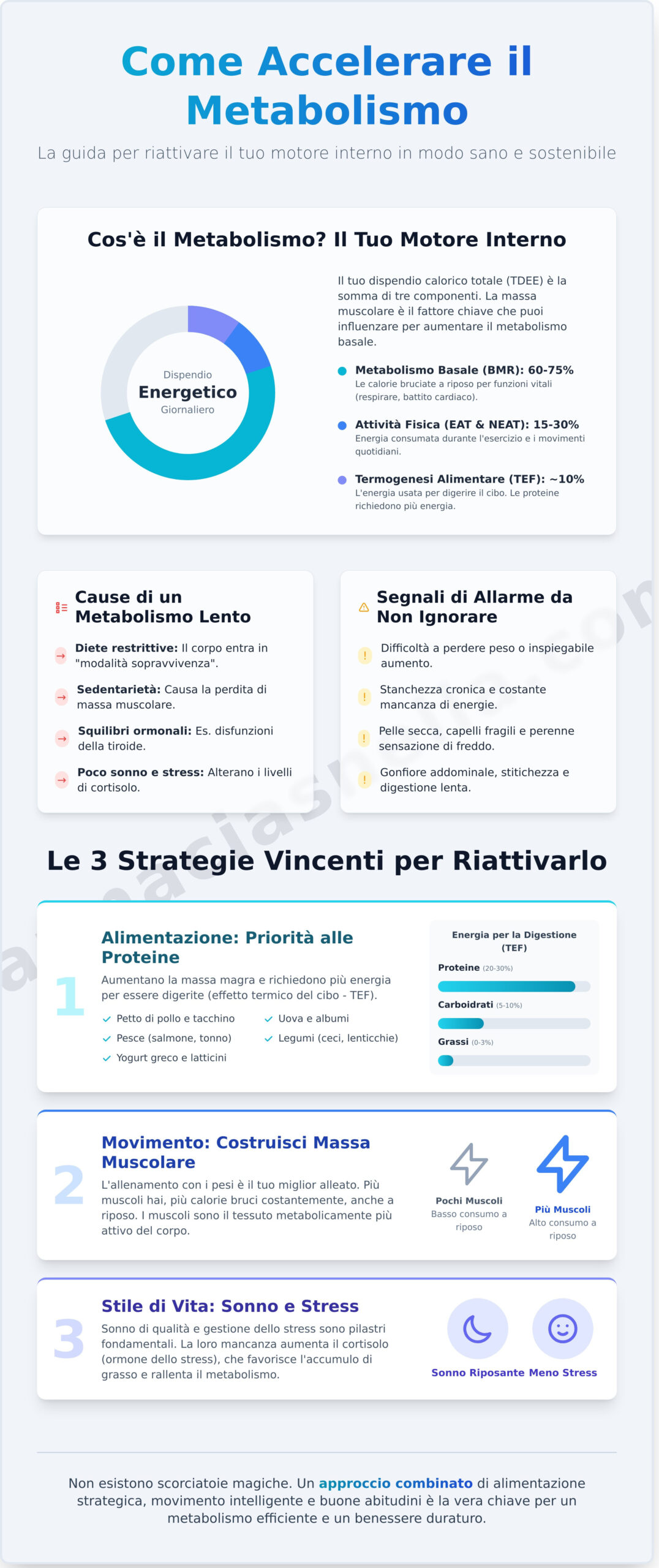 Come Accelerare il Metabolismo: La Guida Definitiva per Bruciare di Più - Infographic