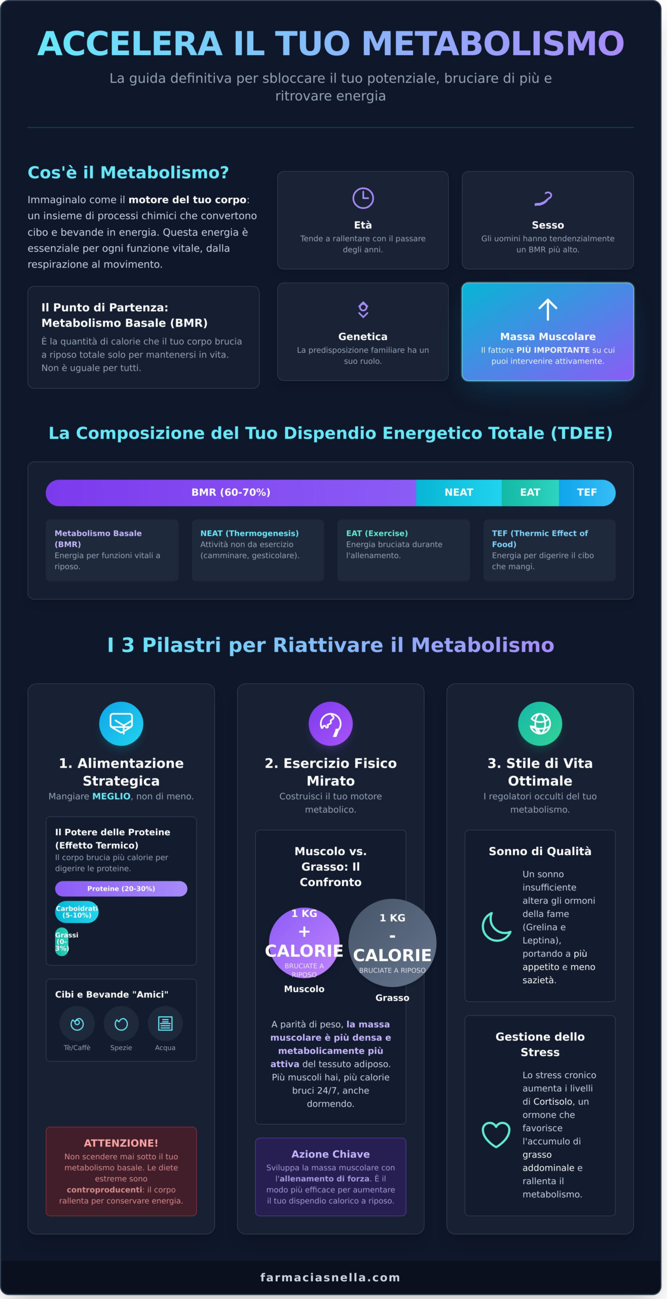 Come Accelerare il Metabolismo per Dimagrire: La Guida Definitiva - Infographic