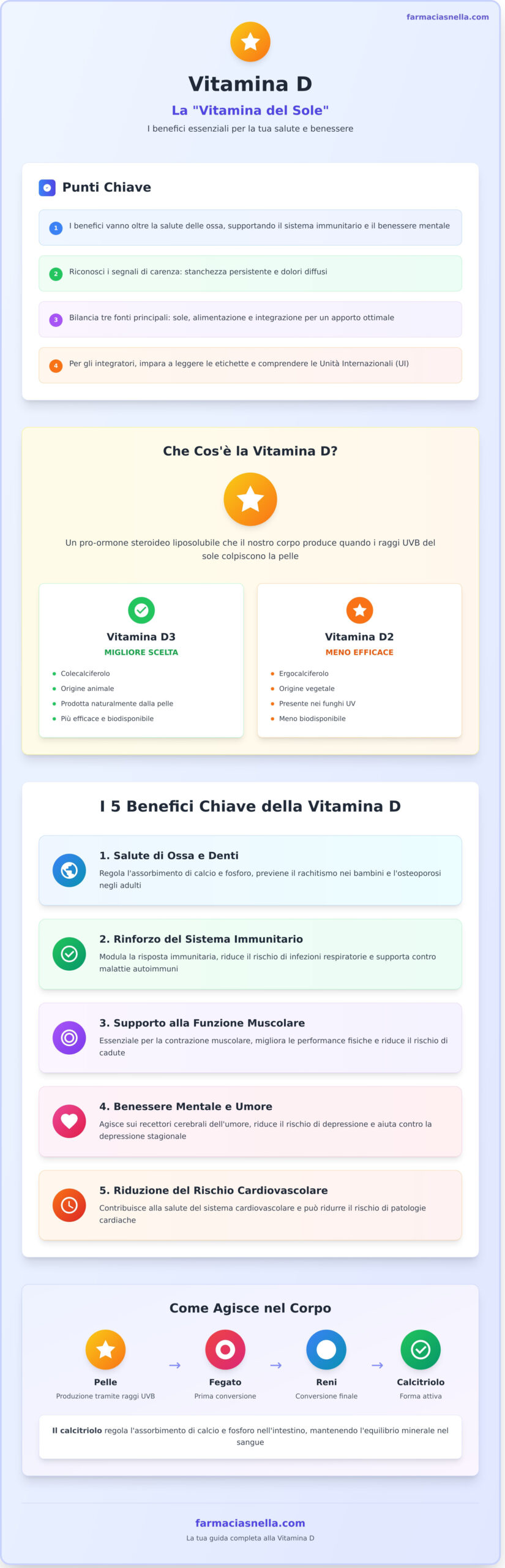 Vitamina D: Guida Completa ai Benefici per Ossa, Sistema Immunitario e Benessere - Infographic