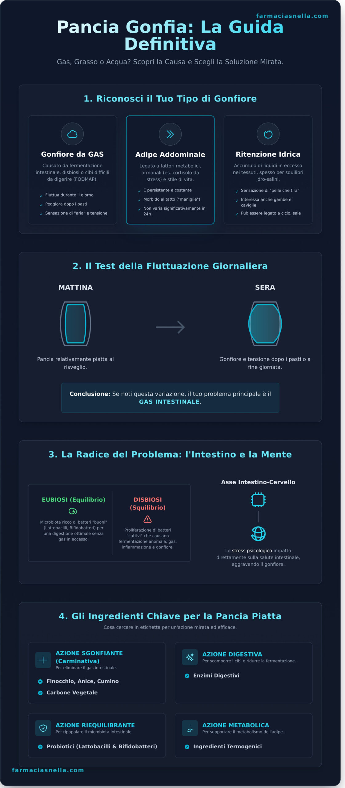 Integratori per Pancia Piatta: Guida Completa ai Migliori Rimedi 2026 - Infographic