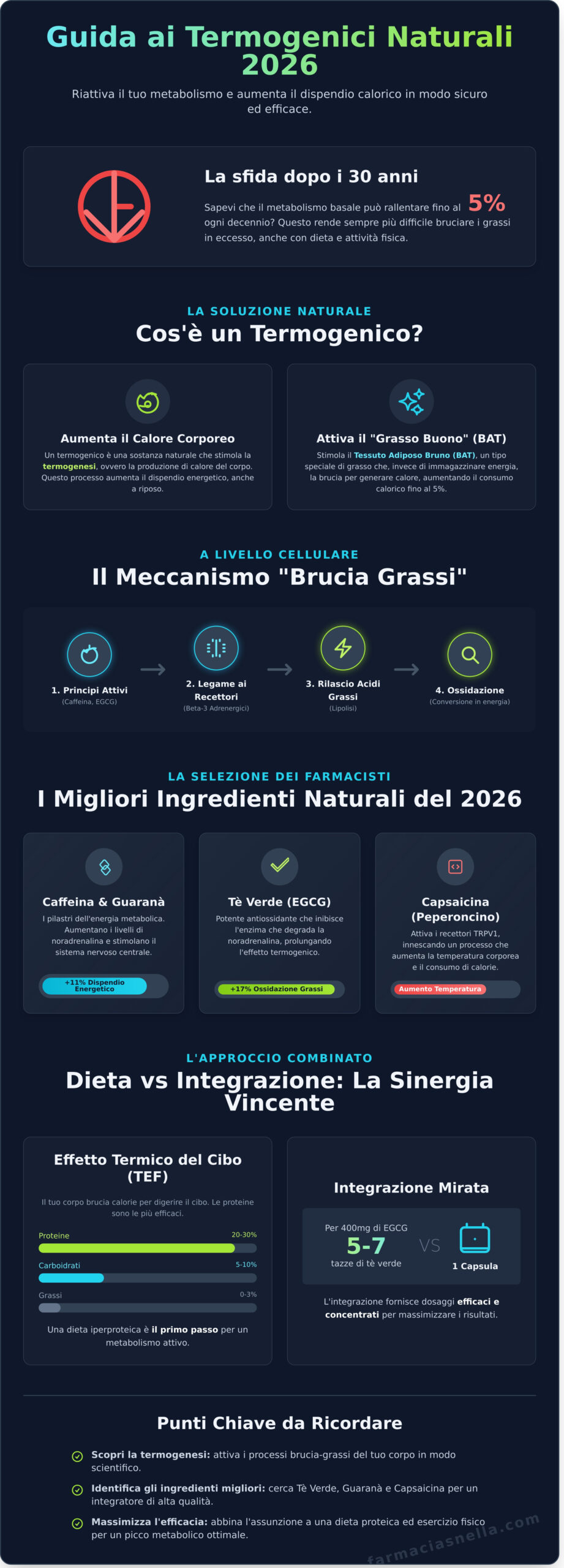 Termogenico Naturale: La Guida Definitiva ai Migliori Brucia Grassi 2026 - Infographic